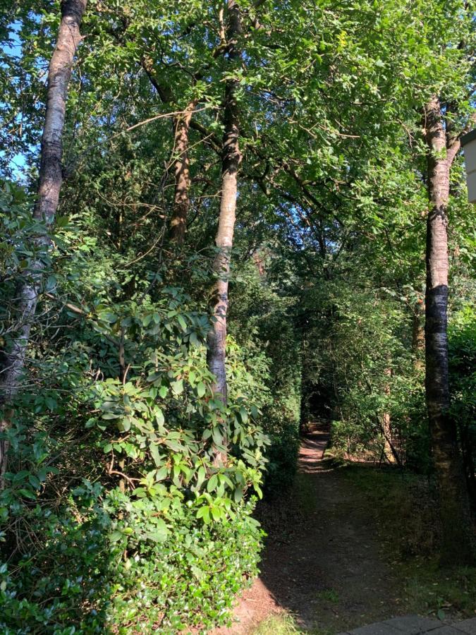De Spitse Egel: Ontdek De Pareltjes In De Natuur! 오털로 외부 사진