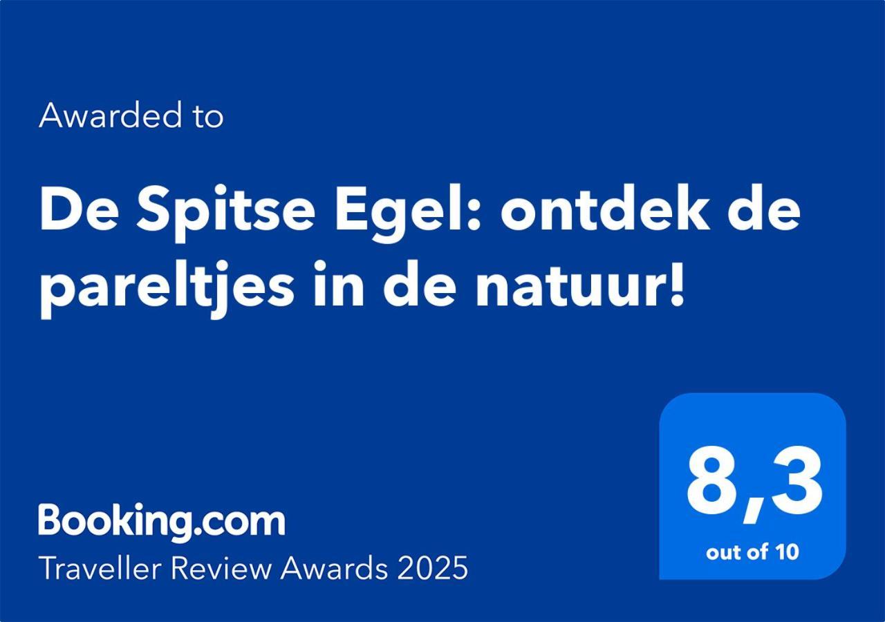 De Spitse Egel: Ontdek De Pareltjes In De Natuur! 오털로 외부 사진